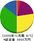 丸武加藤建設工業 貸借対照表 2009年12月期