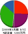 中山電気 貸借対照表 2009年3月期