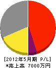 丸田組 損益計算書 2012年5月期