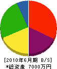 染谷園芸 貸借対照表 2010年6月期