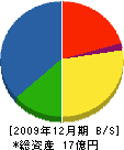 佐竹電機 貸借対照表 2009年12月期