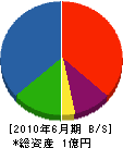 幸田建設 貸借対照表 2010年6月期