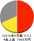 マルダイ建装 損益計算書 2010年9月期