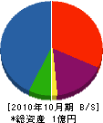 真栄電気 貸借対照表 2010年10月期