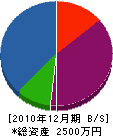 長谷川組 貸借対照表 2010年12月期