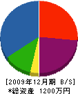 熊倉組 貸借対照表 2009年12月期