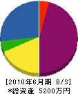 昭栄 貸借対照表 2010年6月期