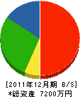 古澤商会 貸借対照表 2011年12月期