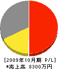 九州地盤コンサルタント 損益計算書 2009年10月期