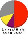 渡辺工業 損益計算書 2010年6月期