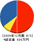 舟田電気商会 貸借対照表 2009年12月期