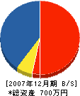 山陽造園建設 貸借対照表 2007年12月期