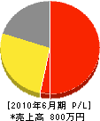 栃木緑創 損益計算書 2010年6月期