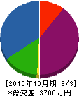 渡辺建設 貸借対照表 2010年10月期 渡辺建設 貸借対照表 2010年10月期