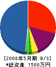 池田工務店 貸借対照表 2008年5月期