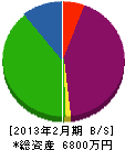 谷元電機 貸借対照表 2013年2月期