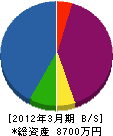 ケンザイセンター生田 貸借対照表 2012年3月期