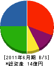 佐藤組 貸借対照表 2011年6月期