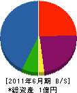森崎産業 貸借対照表 2011年6月期