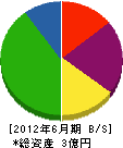 佐々木電気工業 貸借対照表 2012年6月期