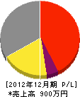 藤井ボイラー 損益計算書 2012年12月期