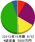 沖田鑿井設備工業 貸借対照表 2012年10月期