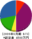 桃井造園 貸借対照表 2009年6月期