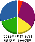 佐久間防水工業 貸借対照表 2012年4月期