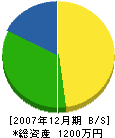 米田水道設備 貸借対照表 2007年12月期