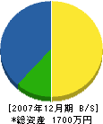 石井土木 貸借対照表 2007年12月期