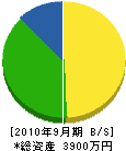 萩原建設 貸借対照表 2010年9月期