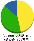 寺川水道ポンプ店 貸借対照表 2010年12月期