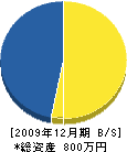 藤澤建築 貸借対照表 2009年12月期
