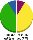 庄鉄工所 貸借対照表 2009年12月期
