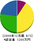 吉牟田水道工事店 貸借対照表 2009年12月期