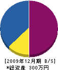 峯園建設 貸借対照表 2009年12月期