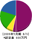泉電気商会 貸借対照表 2009年5月期