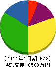 稲瀬工務店 貸借対照表 2011年1月期