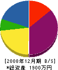 武田建工 貸借対照表 2008年12月期