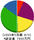 永田建設 貸借対照表 2009年5月期