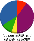 横須賀電機 貸借対照表 2012年10月期