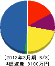 大昭物産 貸借対照表 2012年3月期