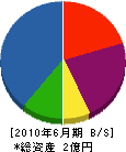 山本定樹園 貸借対照表 2010年6月期