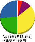 南成土木 貸借対照表 2011年6月期