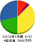 松尾電気商会 貸借対照表 2010年3月期