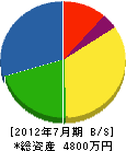 畳流通センター田中商店 貸借対照表 2012年7月期