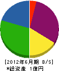石村興産 貸借対照表 2012年6月期