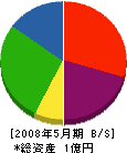 青木電工 貸借対照表 2008年5月期