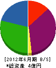 川本化成 貸借対照表 2012年6月期