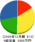 藤田工業 貸借対照表 2008年12月期